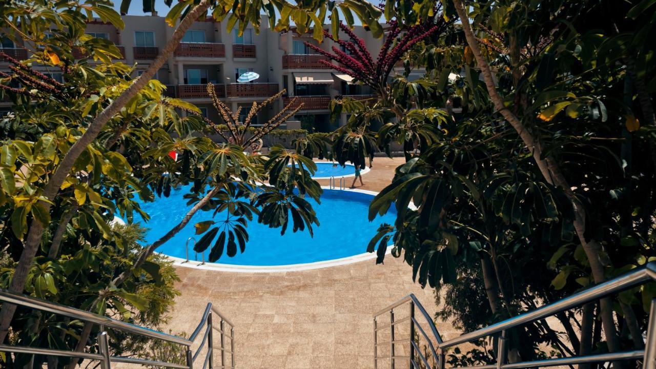 Okeanos Sea View 1 Bedroom Vr-S Granadilla De Abona Eksteriør billede